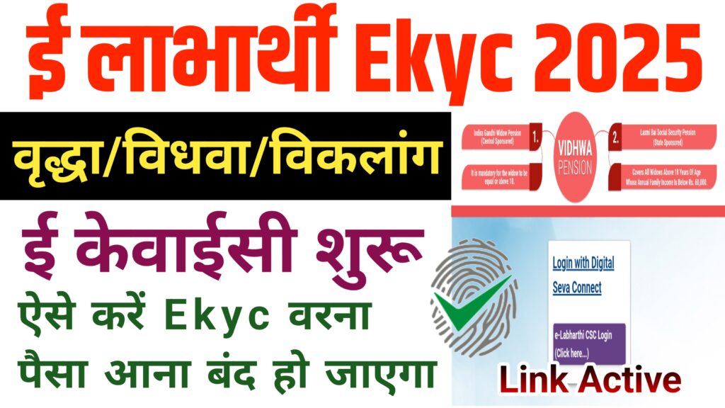 Virdha Pension ekyc 2025